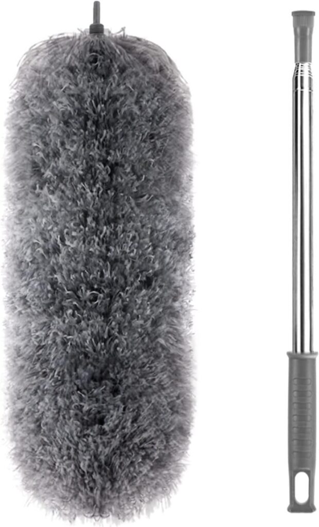 Feather duster